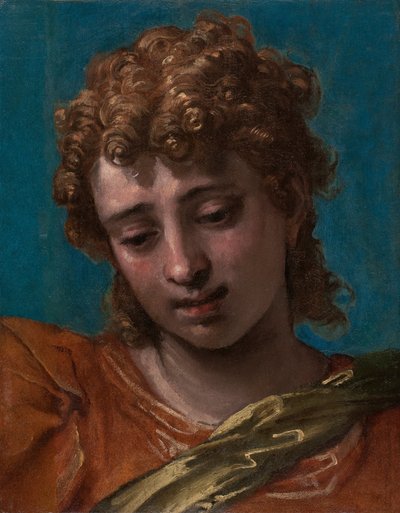 Head of Saint Michael, from the Petrobelli Altarpiece by Paolo Caliari